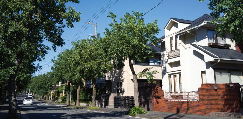 Street view of houses 